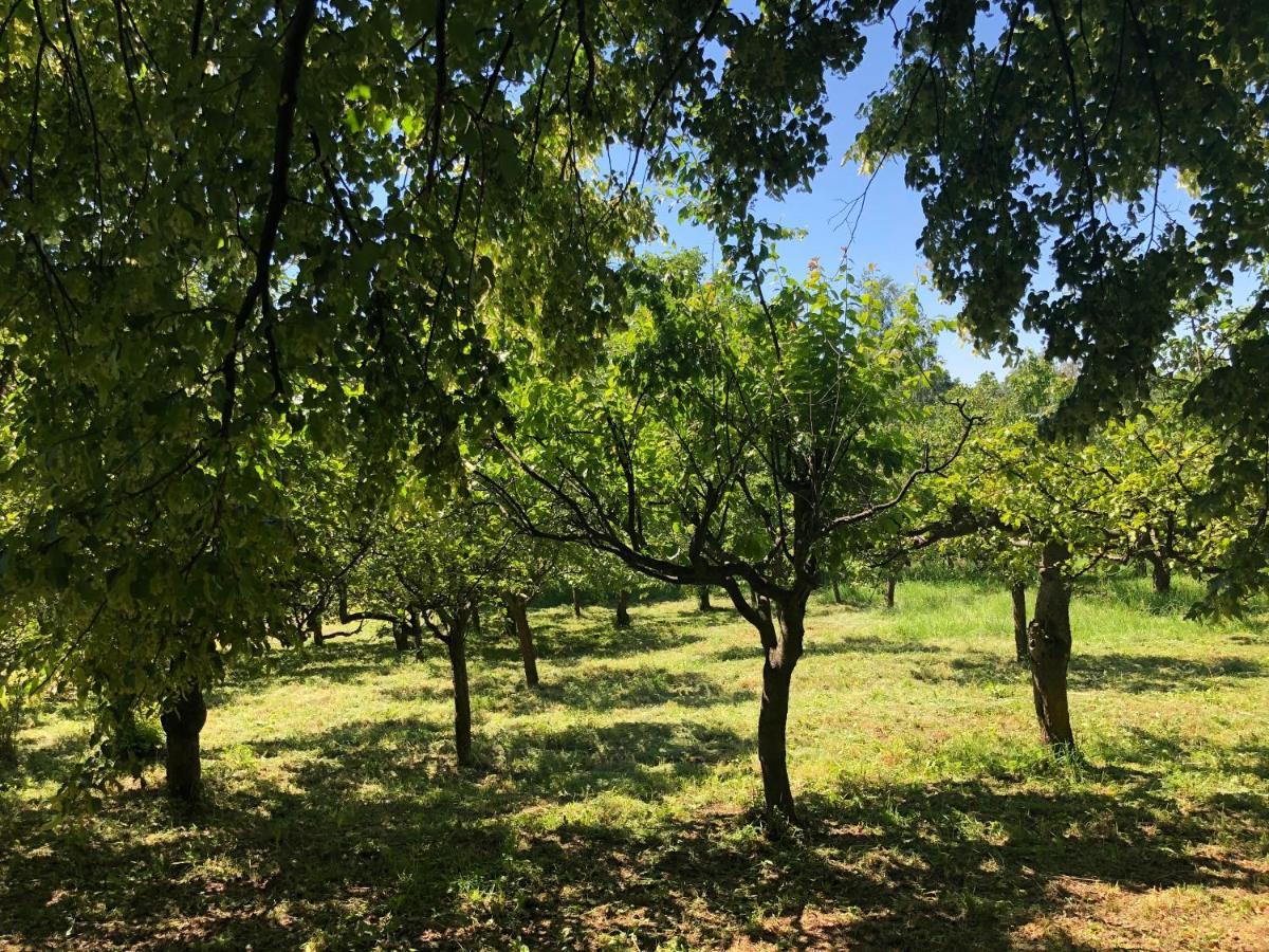 Czytelnia W Sadzie Villa Krzykawka Bagian luar foto