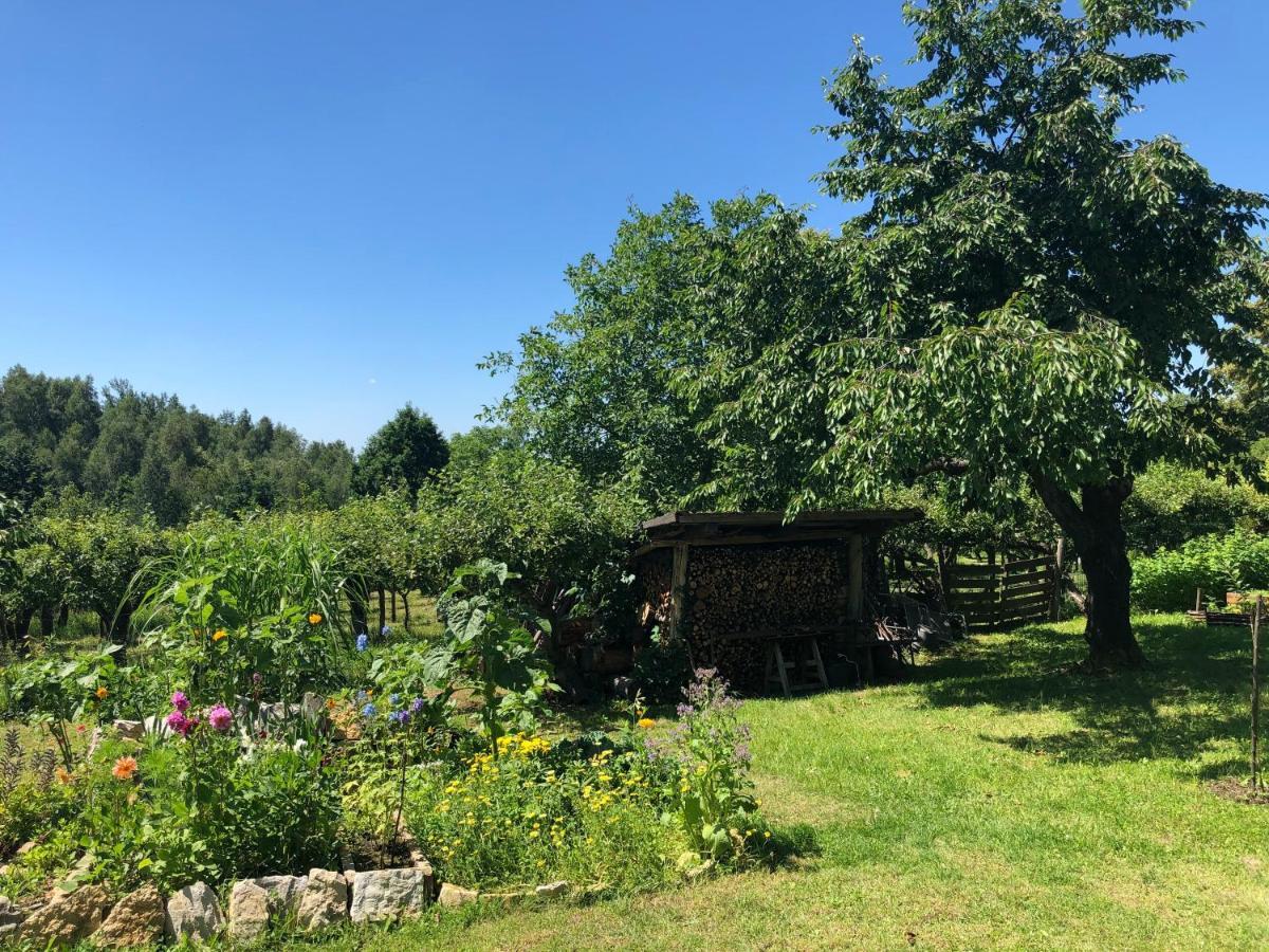 Czytelnia W Sadzie Villa Krzykawka Bagian luar foto
