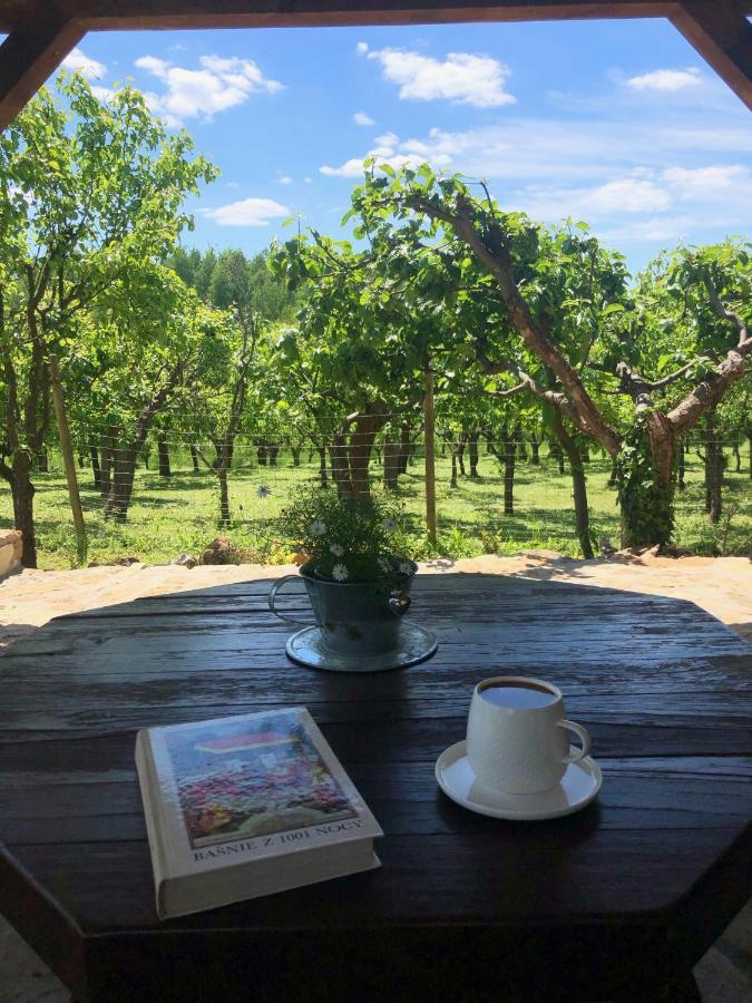 Czytelnia W Sadzie Villa Krzykawka Bagian luar foto