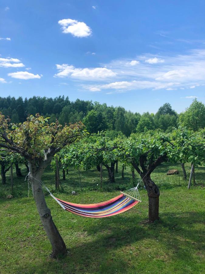 Czytelnia W Sadzie Villa Krzykawka Bagian luar foto
