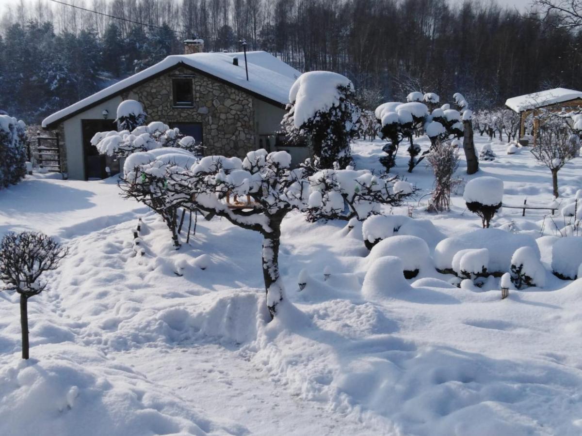 Czytelnia W Sadzie Villa Krzykawka Bagian luar foto